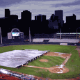 Baseball Field Covers 150' x 150'
